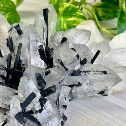 Incredible XL Tourmaline & Quartz Specimen With Albite 4 - Kenna's Crystals from TikTok
