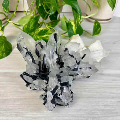 Incredible XL Tourmaline & Quartz Specimen With Albite 1 - Kenna's Crystals from TikTok