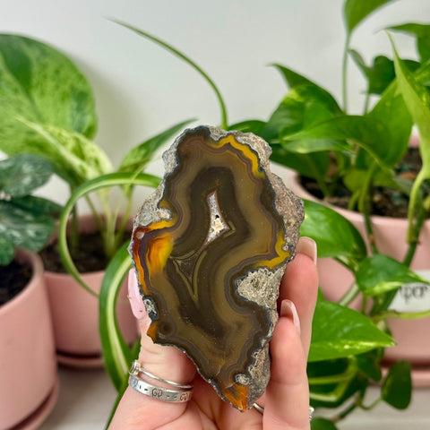 Indi Argentinian Agate B 7 - Kenna's Crystals from TikTok