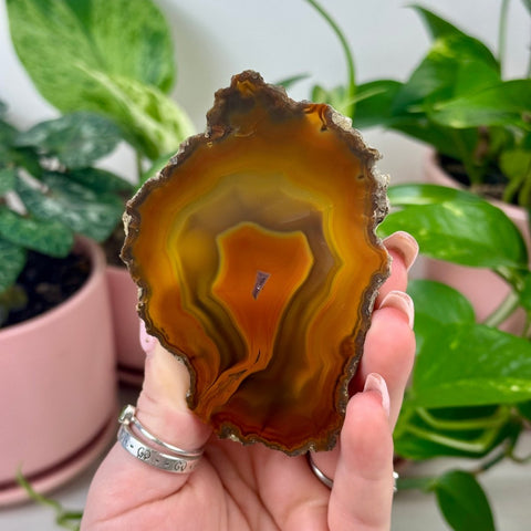 Indi Argentinian Agate D 6 - Kenna's Crystals from TikTok