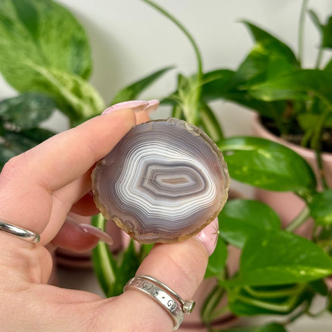 Indi Argentinian Agate E 5 - Kenna's Crystals from TikTok