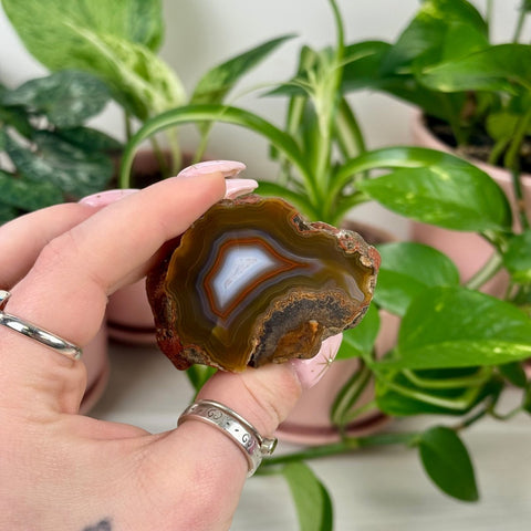 Indi Argentinian Agate F 4 - Kenna's Crystals from TikTok