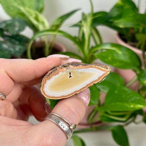 Indi Argentinian Agate G 3 - Kenna's Crystals from TikTok