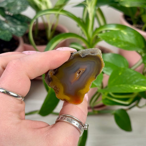 Indi Argentinian Agate H 2 - Kenna's Crystals from TikTok