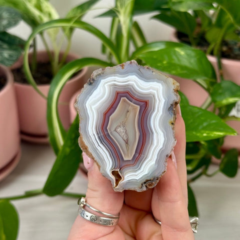Indi Malawi Agate B 12 - Kenna's Crystals from TikTok