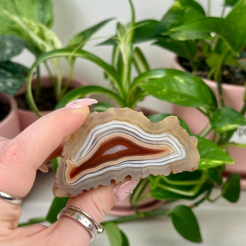 Indi Malawi Agate C 11 - Kenna's Crystals from TikTok