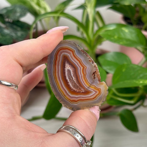 Indi Malawi Agate F 2 - Kenna's Crystals from TikTok