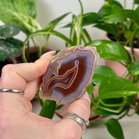 Indi Malawi Agate I 7 - Kenna's Crystals from TikTok