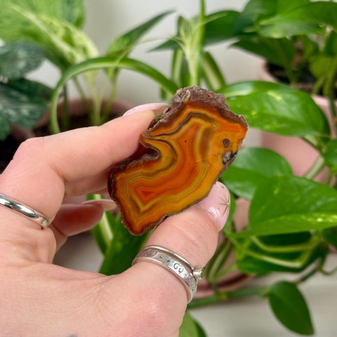 Indi Malawi Agate J 6 - Kenna's Crystals from TikTok