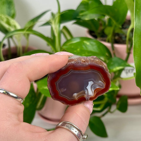 Indi Malawi Agate L 4 - Kenna's Crystals from TikTok