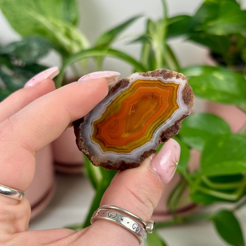 Indi Malawi Agate M 3 - Kenna's Crystals from TikTok