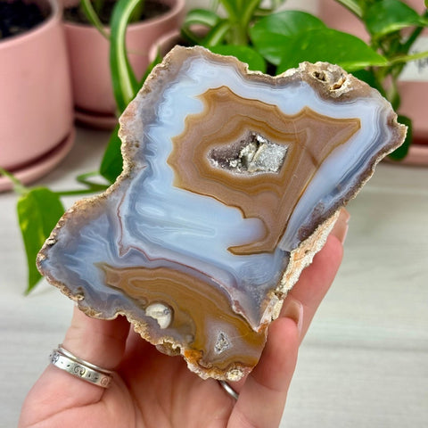 Indi Moroccan Agate A 23 - Kenna's Crystals from TikTok
