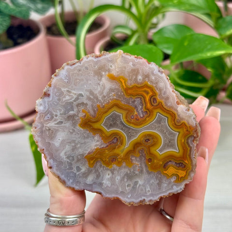 Indi Moroccan Agate E 19 - Kenna's Crystals from TikTok