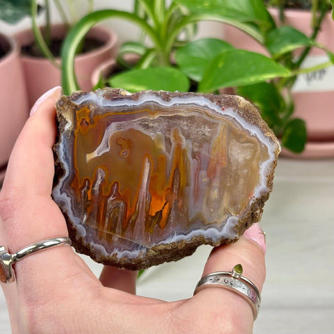 Indi Moroccan Agate F 18 - Kenna's Crystals from TikTok