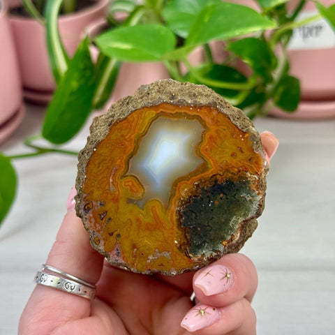 Indi Moroccan Agate L 12 - Kenna's Crystals from TikTok