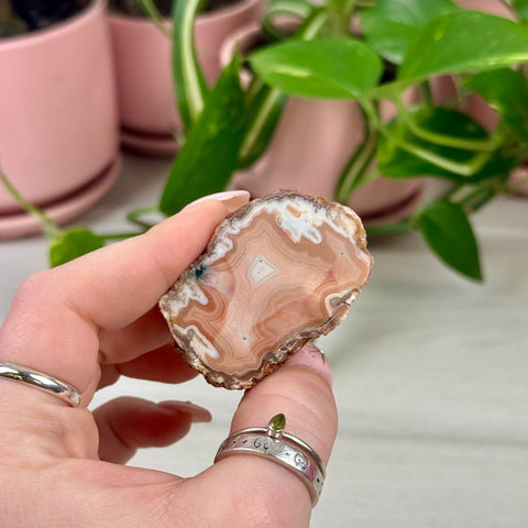 Indi Moroccan Agate P 8 - Kenna's Crystals from TikTok