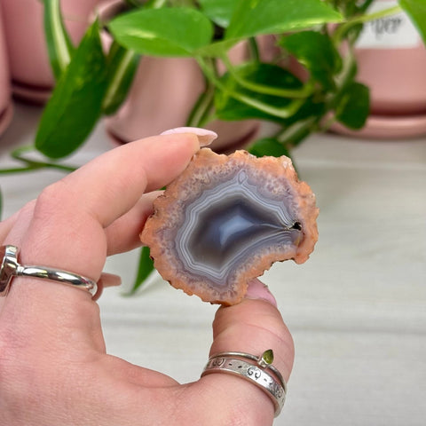 Indi Moroccan Agate V 2 - Kenna's Crystals from TikTok