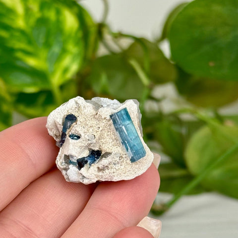 Indicolite Tourmaline Specimen F 6 - Kenna's Crystals from TikTok