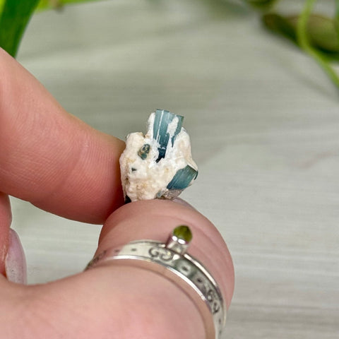 Indicolite Tourmaline Specimen X 24 - Kenna's Crystals from TikTok