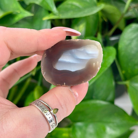 Smooth, polished gray and white agate slice held against a green plant background.