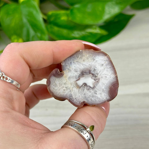 Small, polished individual agate slice with white and purple banding, held by fingers.