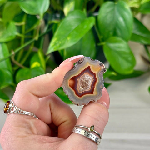 Hand holding a polished, individual agate slice with concentric brown, orange, and white bands.