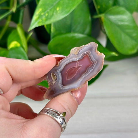 Polished individual agate slice with pink, white, and gray bands, held against green leaves.