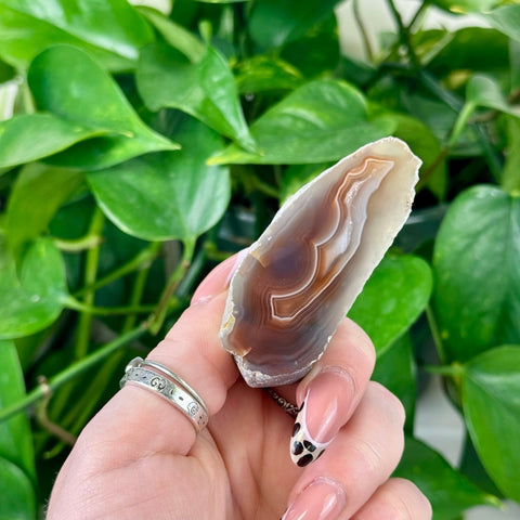 Hand holding a polished brown and white individual agate slice with natural banding.