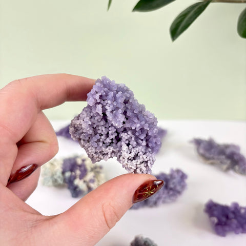 Hand holding a cluster of purple grape agate with small, bubbly, crystalline formations against a white background.