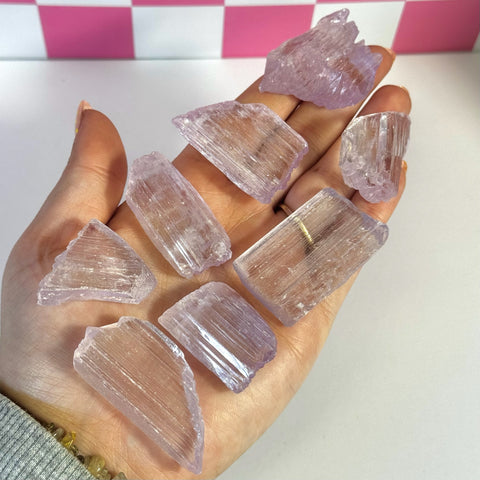 Hand holding multiple raw, pale purple Kunzite crystal shards.