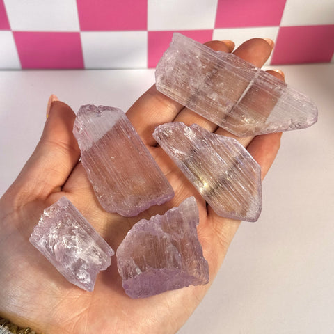 Hand holding five raw, pale pink Kunzite crystal shards with natural striations.