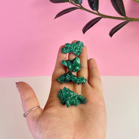 Intuitively Picked Velvet Malachite