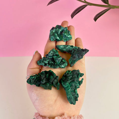 Intuitively Picked Velvet Malachite