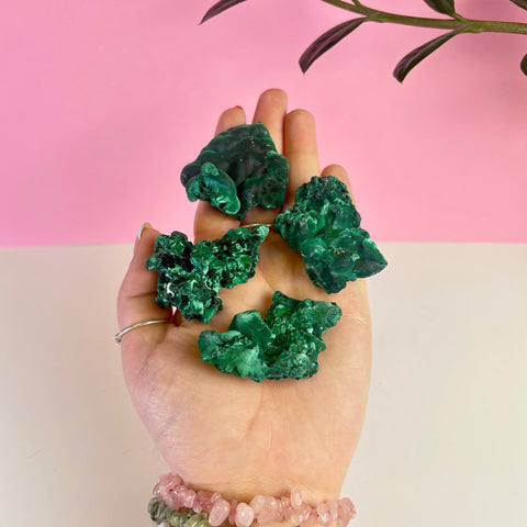 Intuitively Picked Velvet Malachite