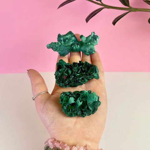 Intuitively Picked Velvet Malachite