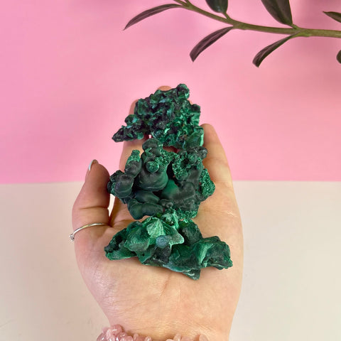 Intuitively Picked Velvet Malachite