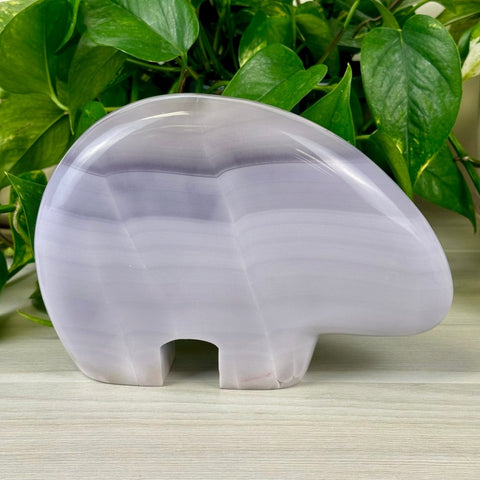 Lavender fluorite bear carving, Isla The Bear, with natural light and dark purple bands.