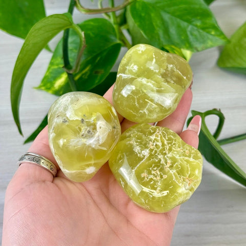 Jello Australian Prehnite 144 8 - Kenna's Crystals from TikTok