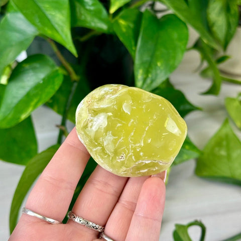 Jello Australian Prehnite 155 9 - Kenna's Crystals from TikTok