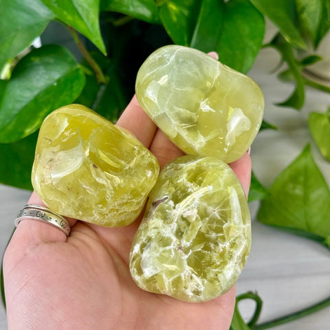 Jello Australian Prehnite 166 10 - Kenna's Crystals from TikTok