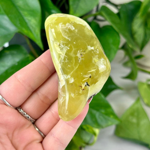 Jello Australian Prehnite 177 11 - Kenna's Crystals from TikTok