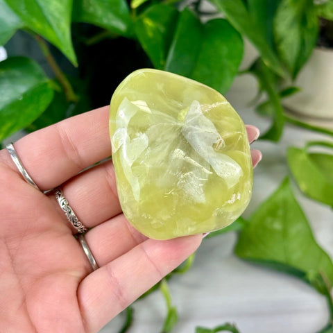 Jello Australian Prehnite 188 12 - Kenna's Crystals from TikTok