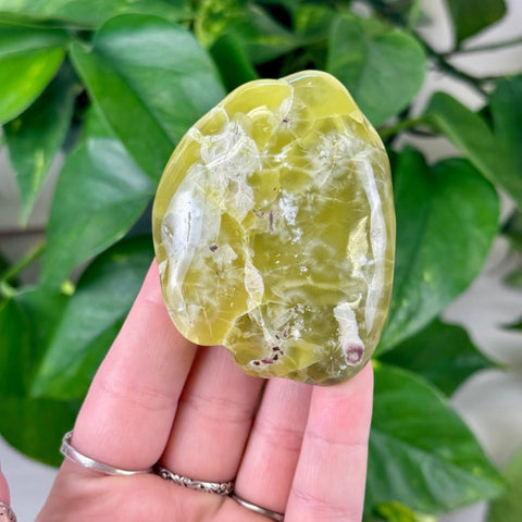 Jello Australian Prehnite 199 13 - Kenna's Crystals from TikTok