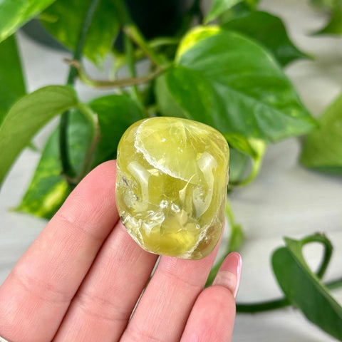 Jello Australian Prehnite 55 1 - Kenna's Crystals from TikTok