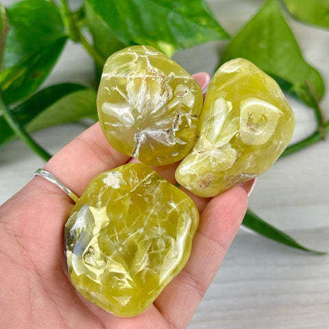 Jello Australian Prehnite 77 3 - Kenna's Crystals from TikTok