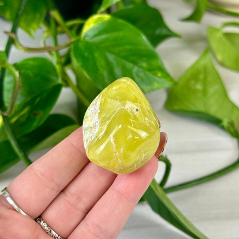 Jello Australian Prehnite 99 5 - Kenna's Crystals from TikTok