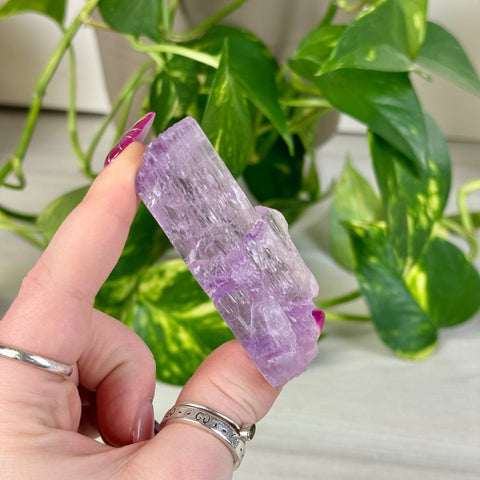 Juicy Cotton Candy Kunzite H 6 - Kenna's Crystals from TikTok