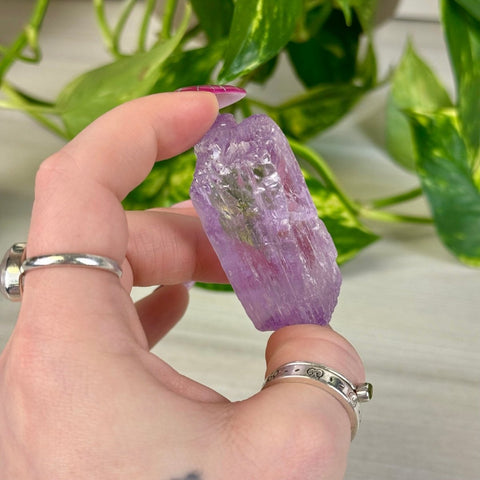 Juicy Cotton Candy Kunzite L 10 - Kenna's Crystals from TikTok