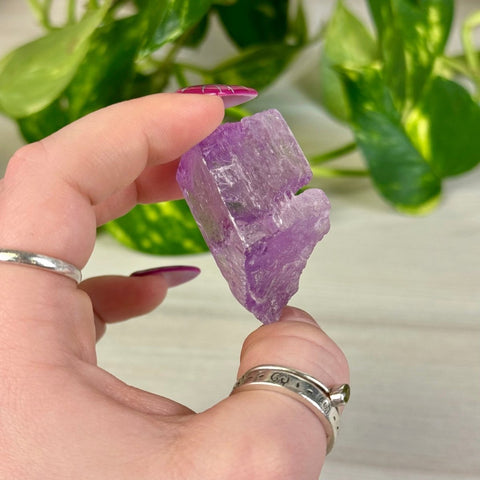 Juicy Cotton Candy Kunzite M 11 - Kenna's Crystals from TikTok
