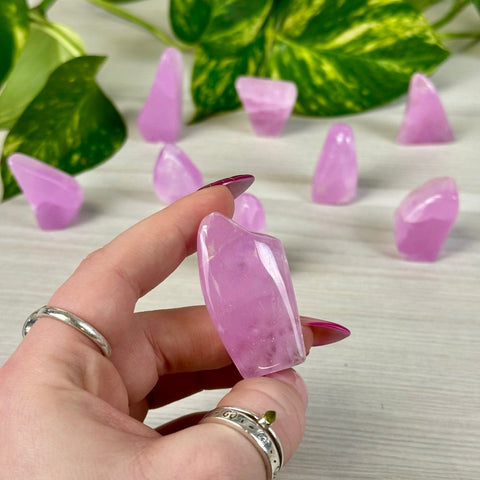 Juicy Pink Aragonite Free Form 11 1 - Kenna's Crystals from TikTok
